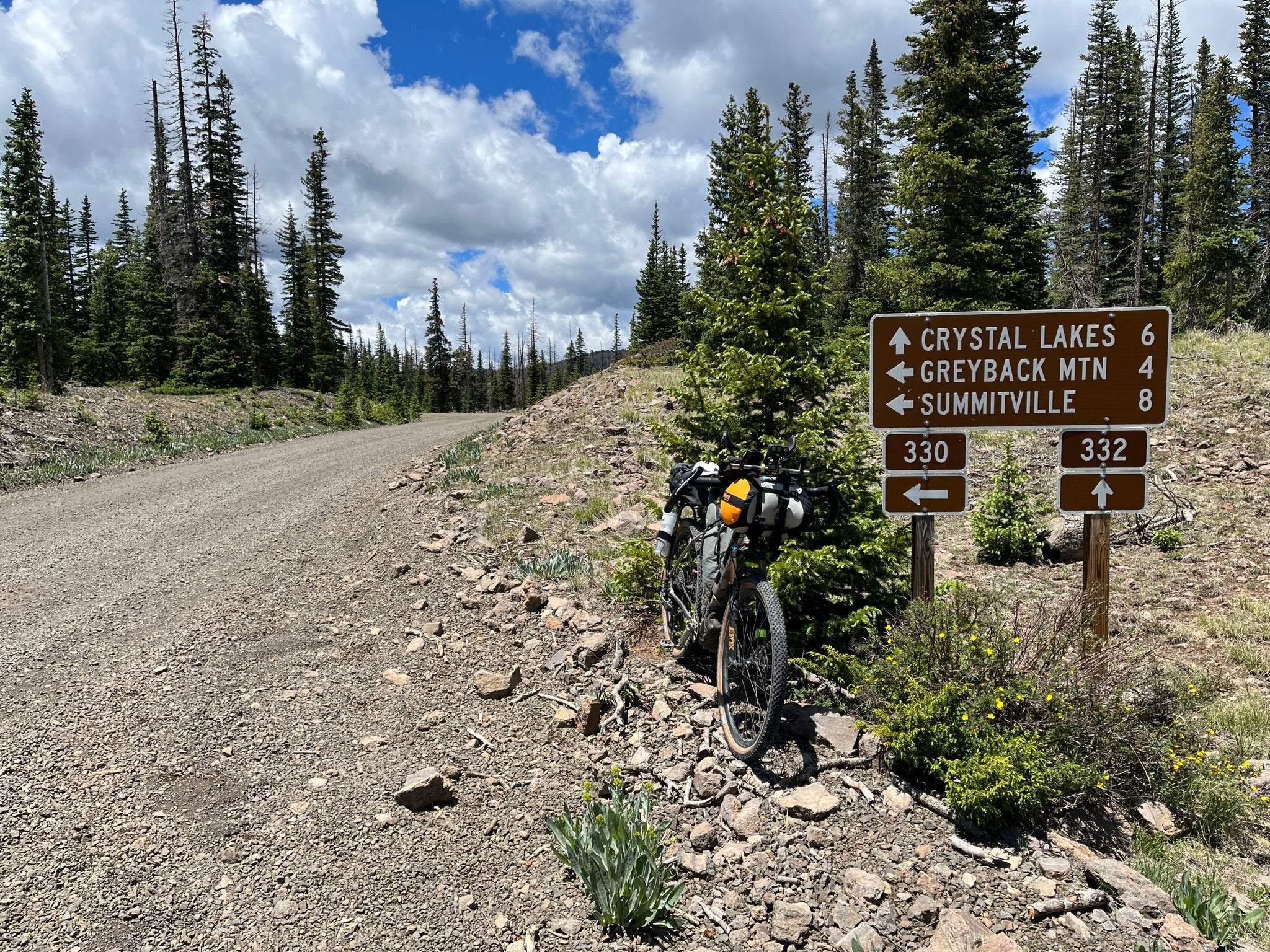 TD Update 2 - Jefe.bike