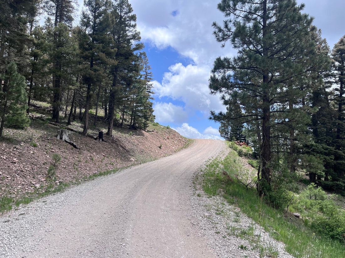 GDMBR - Tour of Western New Mexico: Hachita to Abiquiu - Jefe.bike