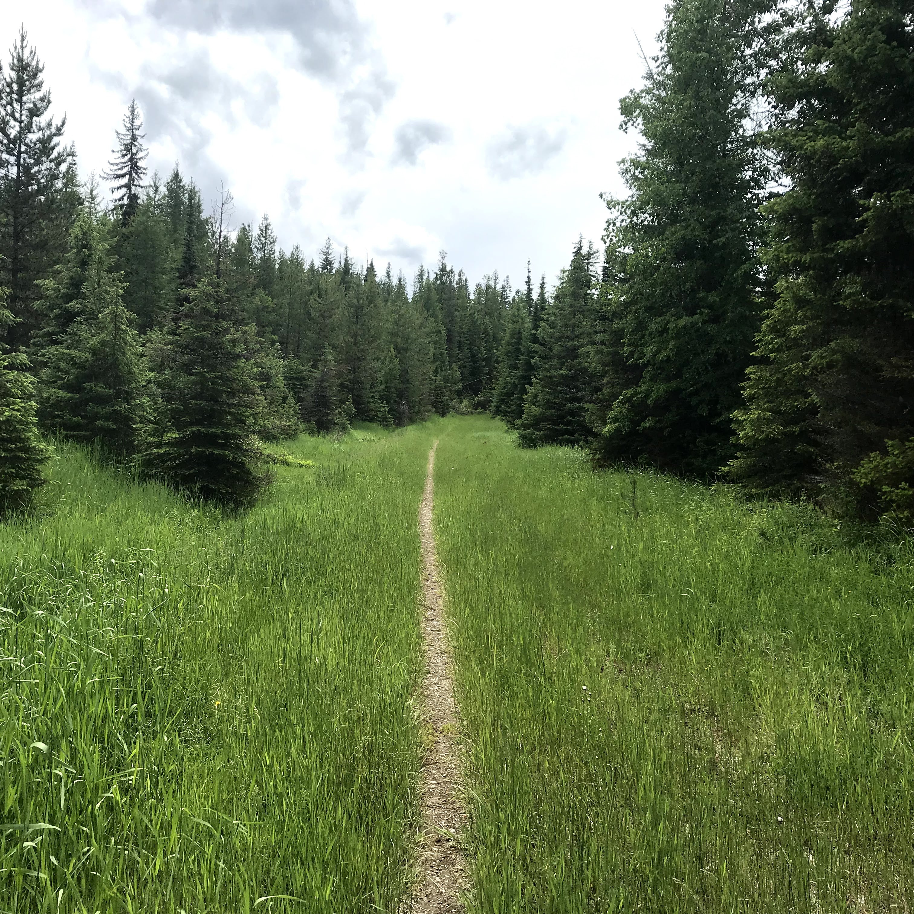 Products that defy categorization - hard to find useful items and gadgets